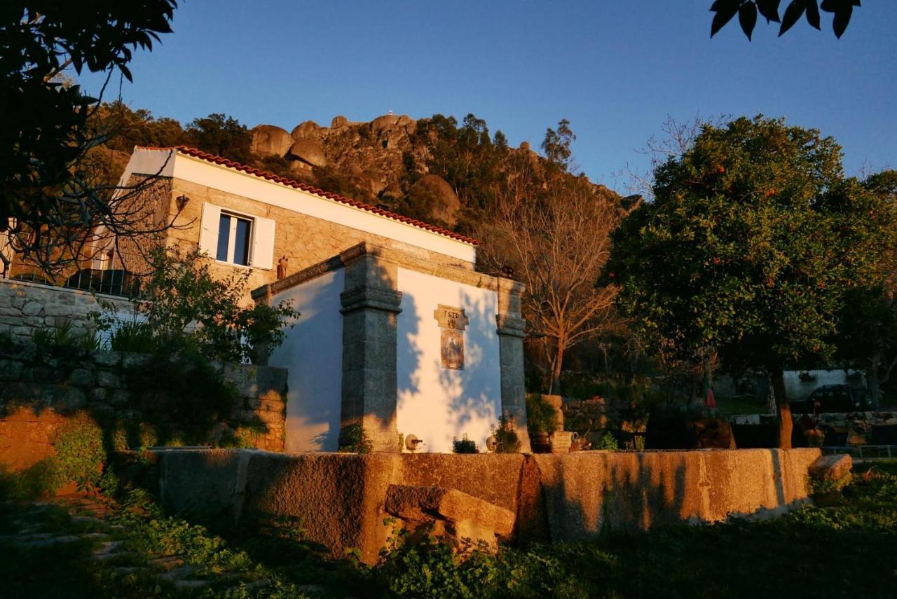 Bed and Breakfast Quinta De Sao Pedro De Vir-A-Corca Em Monsanto Zewnętrze zdjęcie