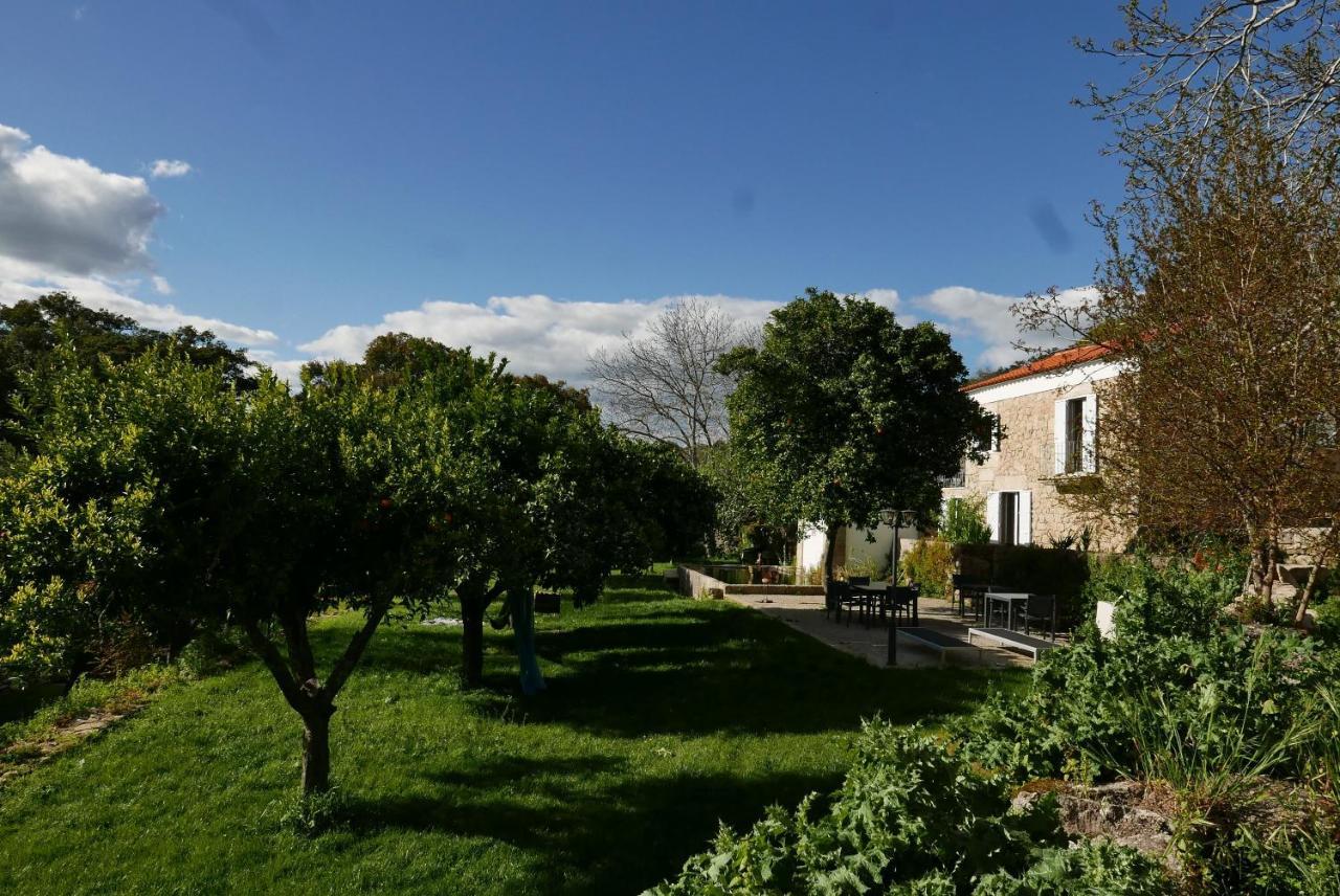 Bed and Breakfast Quinta De Sao Pedro De Vir-A-Corca Em Monsanto Zewnętrze zdjęcie