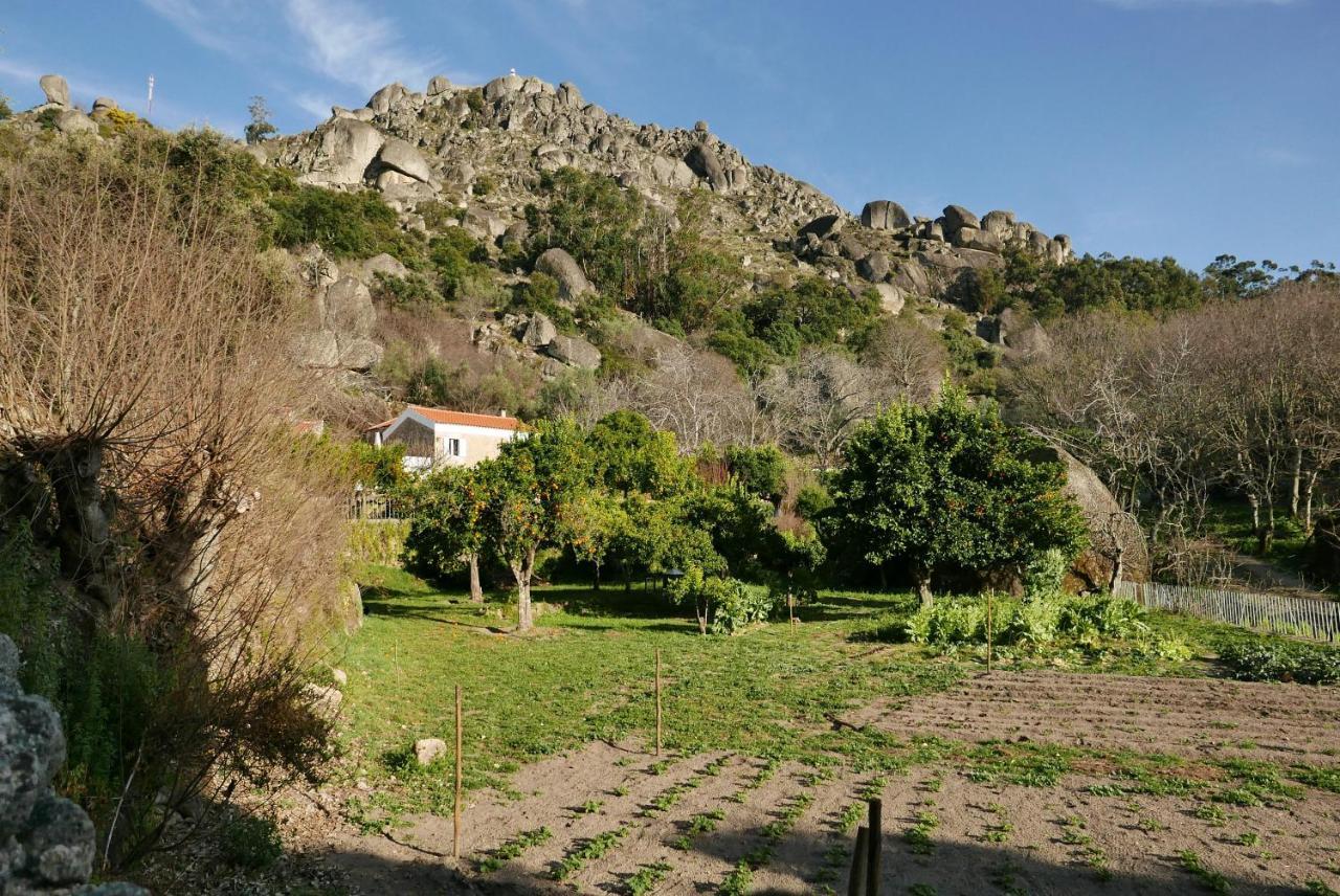 Bed and Breakfast Quinta De Sao Pedro De Vir-A-Corca Em Monsanto Zewnętrze zdjęcie