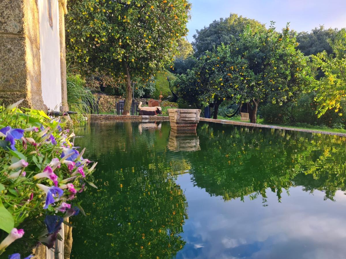 Bed and Breakfast Quinta De Sao Pedro De Vir-A-Corca Em Monsanto Zewnętrze zdjęcie