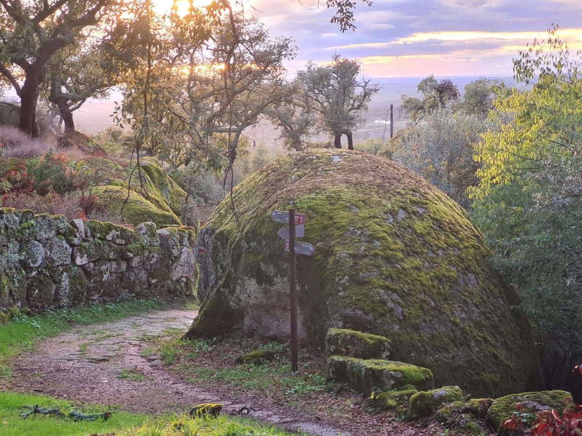 Bed and Breakfast Quinta De Sao Pedro De Vir-A-Corca Em Monsanto Zewnętrze zdjęcie