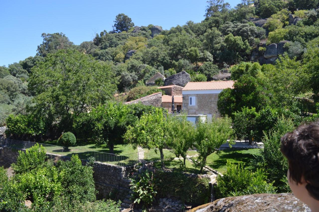 Bed and Breakfast Quinta De Sao Pedro De Vir-A-Corca Em Monsanto Zewnętrze zdjęcie